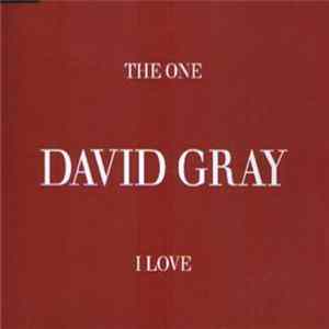 David Gray - The One I Love FLAC