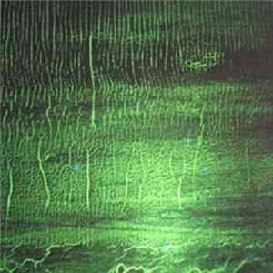 Donato Dozzy FLAC