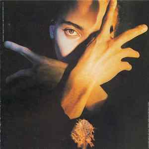 Terence Trent D'Arby - Terence Trent D'Arby's Neither Fish Nor Flesh: A Soundtrack Of Love, Faith, Hope, And Destruction FLAC