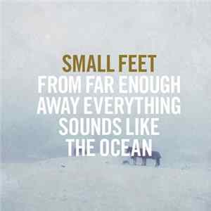 Small Feet - From Far Enough Away Everything Sounds Like The Ocean FLAC