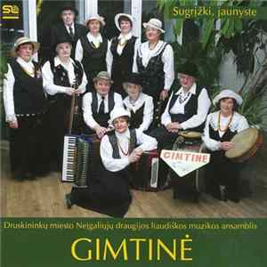 Druskininkų Miesto Neįgaliųjų Draugijos Liaudiškos Muzikos Ansamblis "Gimtinė" - Sugrįžki, Jaunyste FLAC