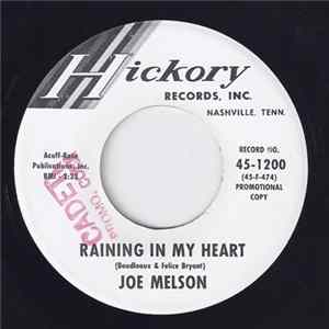 Joe Melson - Raining In My Heart FLAC