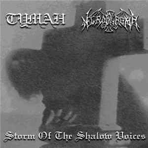 Туман / Necroplasma - Storm Of The Shallow Voices FLAC