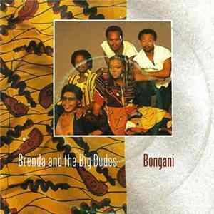 Brenda & The Big Dudes - Bongani (Remix) FLAC