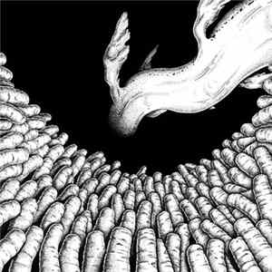 Nest - Hadal FLAC