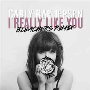 Carly Rae Jepsen - I Really Like You (Bleachers Remix) FLAC