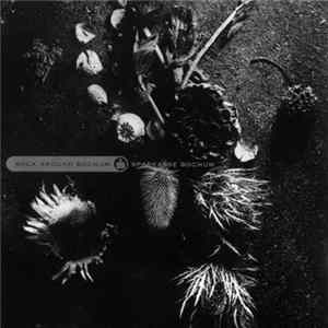 Various - Rock Around Bochum FLAC