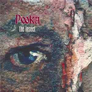 Pooka - The Insect FLAC