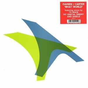 Damien J Carter - What World FLAC