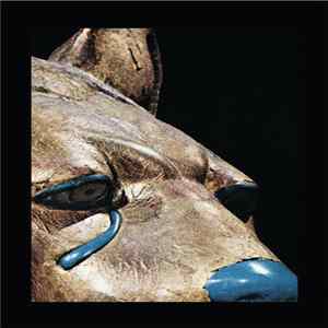 Michael Vallera - Divisions Of The Source FLAC