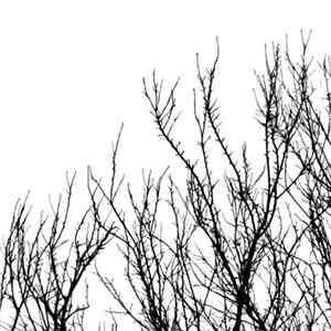 Niekto - Lictina FLAC