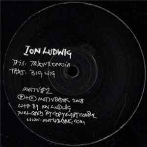 Ion Ludwig - Transonoir / Big Wig FLAC