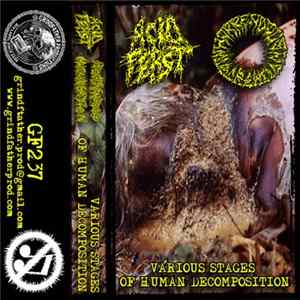 Acid Feast / Horrendous Miscreation - Various Stages Of Human Decomposition FLAC