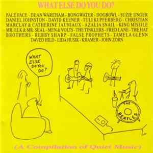 Various - What Else Do You Do?: A Compilation Of Quiet Music FLAC