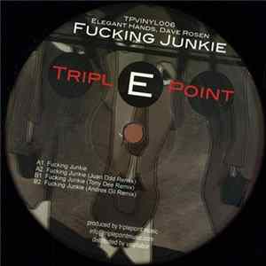 Elegant Hands, Dave Rosen - Fucking Junkie FLAC