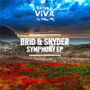 Brid & Snyder - Symphony EP FLAC
