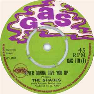 The Shades - Never Gonna Give You Up FLAC