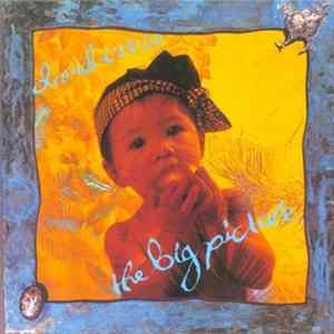 David Cross - The Big Picture FLAC