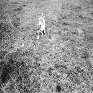 Losing End - Willy FLAC