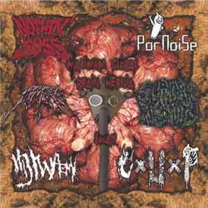 Nothin' Suss / Euphoric Insanity / Pornoise / Murdered / Hijiwaemi / CxUxP - Maximum Global Brain Hernia FLAC