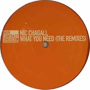 Nic Chagall - What You Need (The Remixes) FLAC