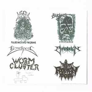 Various - Bitterness + Havok + Chaosreign + Sucking Void + Rotten Pope + Worm Cluster FLAC