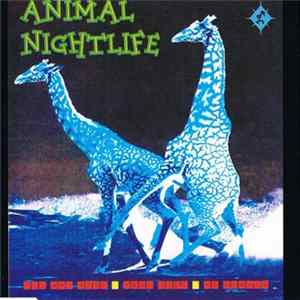 Animal Nightlife - It's Not Over FLAC
