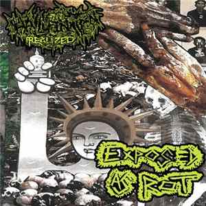 Hallucination Realized / Exposed As Rot - Hallucination Realized / Exposed As Rot FLAC
