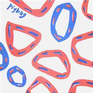 Pigbag - Sunny Day FLAC