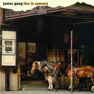 James Gang - Live In Concert FLAC