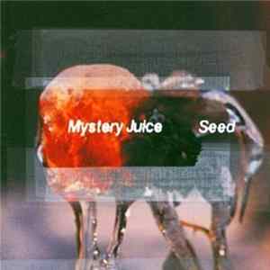Mystery Juice - Seed FLAC
