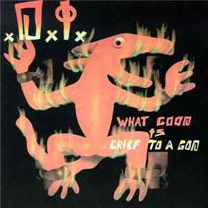 D.I. - What Good Is Grief To A God FLAC