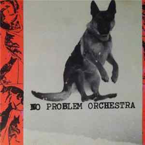 No Problem Orchestra - Problems FLAC