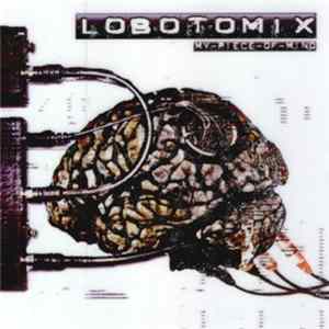 Lobotomix - My Piece Of Mind FLAC