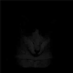 Rüul - Wâatä FLAC