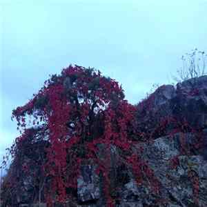Diskreet - Aikanaan FLAC