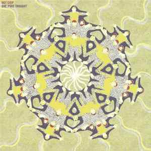 Hot Chip - One Pure Thought FLAC