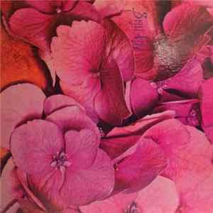 Still Life - Still Life FLAC