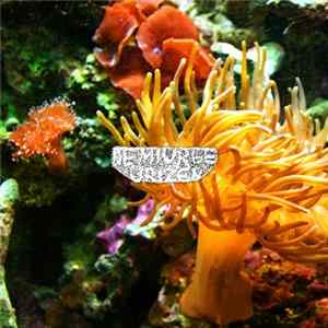 Demiurge Urizen - Subsea FLAC