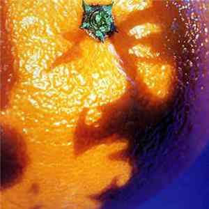 Phish - A Picture Of Nectar FLAC
