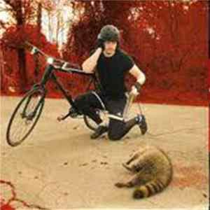 The White Stripes - The Denial Twist FLAC