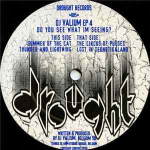 DJ Valium - Do You See What Im Seeing? FLAC