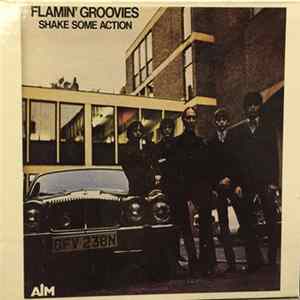 The Flamin' Groovies - Shake Some Action FLAC