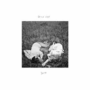 Wild Cub - Youth FLAC
