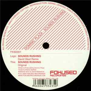 Dominic Plaza - Sounds Rushing FLAC