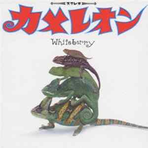 ホワイトベリー - カメレオン FLAC