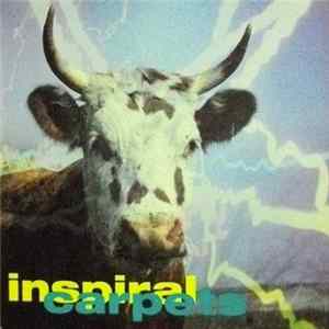 Inspiral Carpets - She Comes In The Fall FLAC