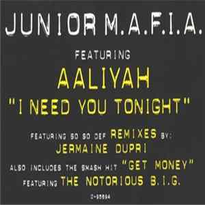 Junior M.A.F.I.A. Featuring Aaliyah - I Need You Tonight FLAC