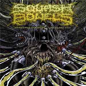 Squash Bowels - Grindvirus Syndrome - Live At OEF 2011 FLAC