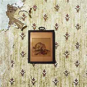 David Dondero - W / Love! FLAC